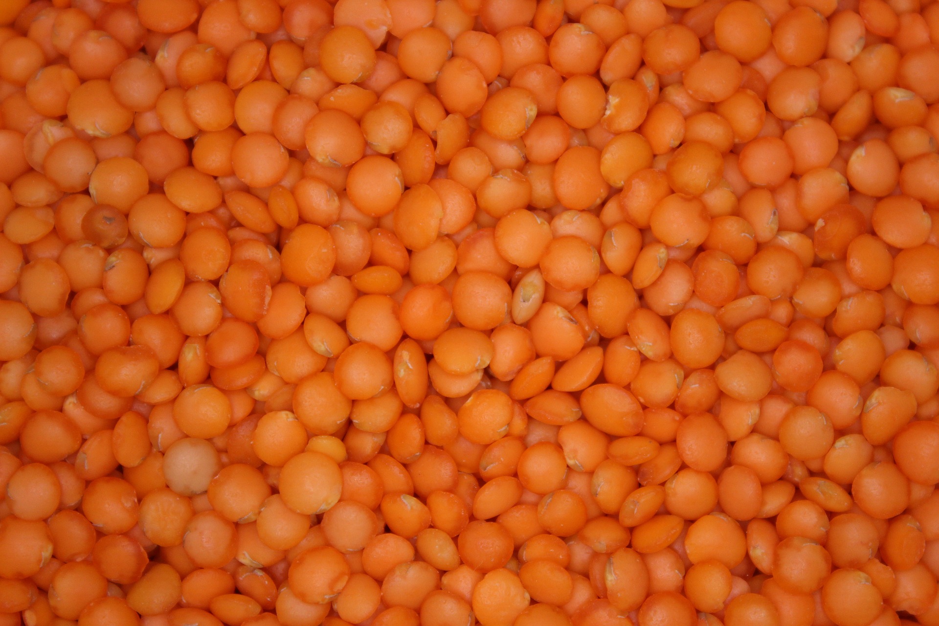 red-lentils-289126_1920