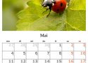 calendar-440582_1920