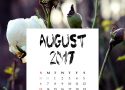 calendar-august-2480881_1920