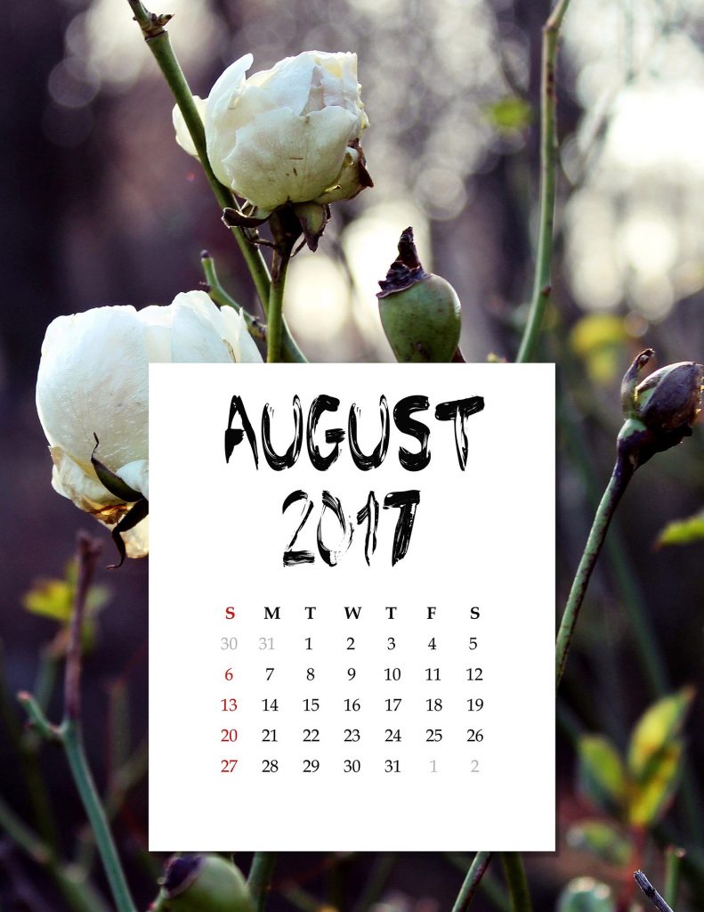 calendar-august-2480881_1920