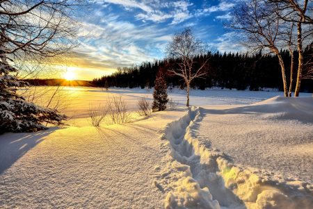 winter-landscape-636634_1920